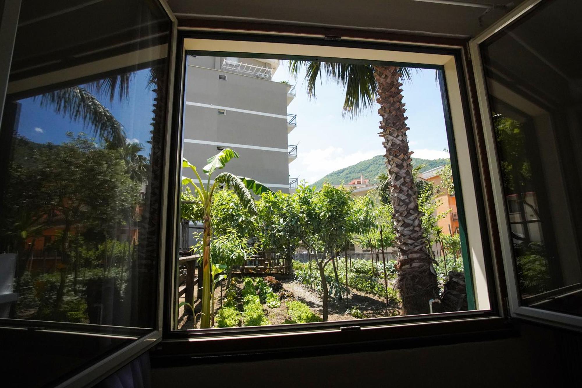 La Sorrentina Daire Gragnano Dış mekan fotoğraf